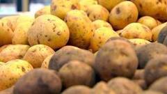 Подорожают ли продукты? Доброе утро. Фрагмент выпуска от 04.10.2016