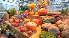 На зависть Золушке. Доброе утро. Фрагмент выпуска от 10.10.2016