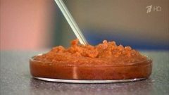 Икра кабачковая. Победитель программы. Контрольная закупка. Фрагмент выпуска от 11.11.2016