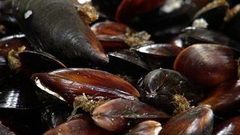 Картошка вместо устриц. Доброе утро. Фрагмент выпуска от 28.11.2016