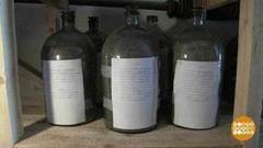 От шишки до леса. Доброе утро. Фрагмент выпуска от 10.03.2017