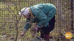 Берегите спину! Доброе утро. Фрагмент выпуска от 02.05.2017