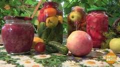 Соленья и варенья по науке. Доброе утро. Фрагмент выпуска от 11.08.2017