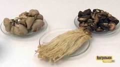 Знакомьтесь: шиитаке, эноки и муэр. Контрольная закупка. Фрагмент выпуска от 06.09.2017