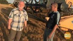 Специи — для пищеварения. Доброе утро. Фрагмент выпуска от 12.09.2017