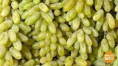 Зелен виноград? Доброе утро. Фрагмент выпуска от 15.09.2017