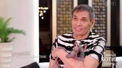 Бари Алибасов: «В детстве я ненавидел животных, а потом увидел лысого кота — и влюбился». Главный котик страны. Фрагмент выпуска от 17.09.2017