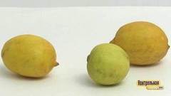 Лайм или лимон? Контрольная закупка. Фрагмент выпуска от 23.01.2018