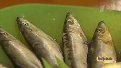 Пресервы «Килька пряного посола». Победитель программы. Контрольная закупка. Фрагмент выпуска от 27.02.2018