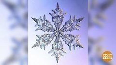 Снежинки крупным планом. Доброе утро. Фрагмент выпуска от 28.02.2018