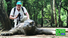Продолжение знакомства с Индонезией. Непутевые заметки. Выпуск от 11.03.2018