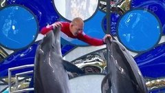 Дмитрий Саутин. Выступление. Вместе с дельфинами. Фрагмент выпуска от 24.10.2015