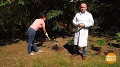 Лопата с медицинской точки зрения. Доброе утро. Фрагмент выпуска от 22.08.2018