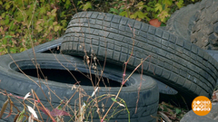 Куда девать старые шины? Доброе утро. Фрагмент выпуска от 05.10.2018