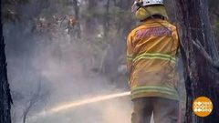 В мире. Лесные пожары. Доброе утро. Фрагмент выпуска от 15.02.2019