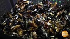 Дивноморские устрицы. Доброе утро. Фрагмент выпуска от 28.02.2019