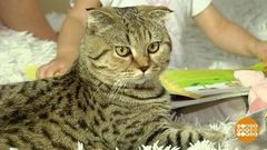 Замуррррчательная дата. Доброе утро. Фрагмент выпуска от 01.03.2019