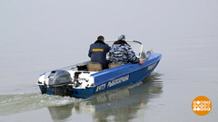 Ловитесь, браконьеры… Доброе утро. Фрагмент выпуска от 08.04.2019