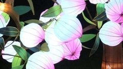 В мире. Фестиваль фонариков. Доброе утро. Фрагмент выпуска от 04.12.2015