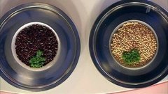 Что здоровее — горох или красная фасоль? Жить здорово! Фрагмент выпуска от 17.12.2015