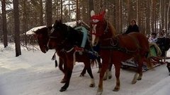 Эх, птица-тройка!