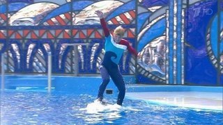 Алексей Ягудин. Выступление. Вместе с дельфинами. Фрагмент выпуска от 10.10.2015