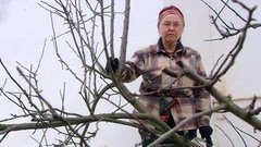 Помогаем яблоням. Доброе утро. Фрагмент выпуска от 19.04.2016