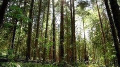 Валдай: Берендеево царство. Доброе утро. Фрагмент выпуска от 17.05.2016