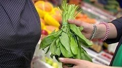 Свежий щавель. Доброе утро. Фрагмент выпуска от 19.05.2016