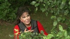 Ржавчина на груше. Фазенда. Фрагмент выпуска от 21.08.2016