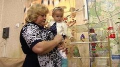 Давайте доверять друг другу! Доброе утро. Фрагмент выпуска от 18.10.2016