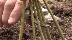 Готовим огород к зиме. Доброе утро. Фрагмент выпуска от 25.09.2015