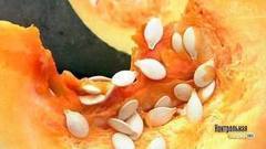 Тыквенные семечки. Контрольная закупка. Фрагмент выпуска от 15.06.2017