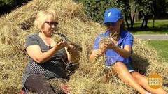 Приходите на сеновал! Доброе утро. Фрагмент выпуска от 15.08.2017