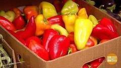 Перец: красный, желтый, зеленый. Доброе утро. Фрагмент выпуска от 15.08.2017