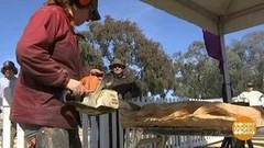 В мире. Скульптор с электропилой. Доброе утро. Фрагмент выпуска от 17.11.2017