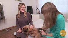 Где найти собачью няню. Доброе утро. Фрагмент выпуска от 22.12.2017