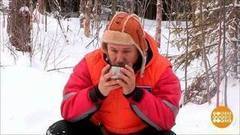 Еловый чай от Дмитрия Талабуева. Доброе утро. Фрагмент выпуска от 07.02.2018