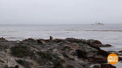 От океана до океана… Доброе утро. Фрагмент выпуска от 08.06.2018