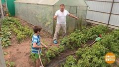 Дмитрий Талабуев и его поливальная машина. Доброе утро. Фрагмент выпуска от 03.08.2018