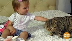 Животные и люди: мы друг друга понимаем! Доброе утро. Фрагмент выпуска от 22.08.2018