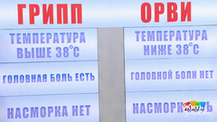 Грипп или ОРВИ? Жить здорово! Фрагмент выпуска от 26.09.2018