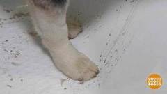 Чем вымыть ванну? Доброе утро. Фрагмент выпуска от 28.09.2018