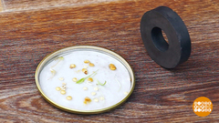 Семена в магнитном поле. Доброе утро. Фрагмент выпуска от 15.03.2019