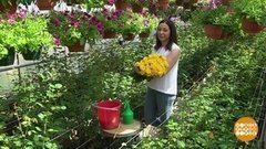 Уходи, ты, тля! Доброе утро. Фрагмент выпуска от 07.06.2019