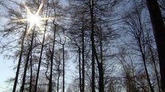 Апрель на носу, а где весна? Доброе утро. Фрагмент выпуска от 31.03.2016