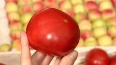 Грунтовые огурцы и помидоры. Доброе утро. Фрагмент выпуска от 30.06.2016