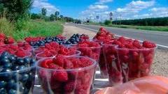 Придорожные продукты. Доброе утро. Фрагмент выпуска от 17.08.2016