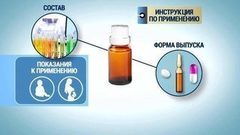 Инструкция: для больного или для врача? Доброе утро. Фрагмент выпуска от 15.11.2016