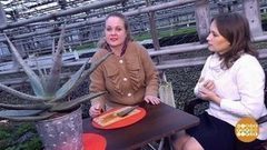 Мозоли дачника. Доброе утро. Фрагмент выпуска от 05.06.2017